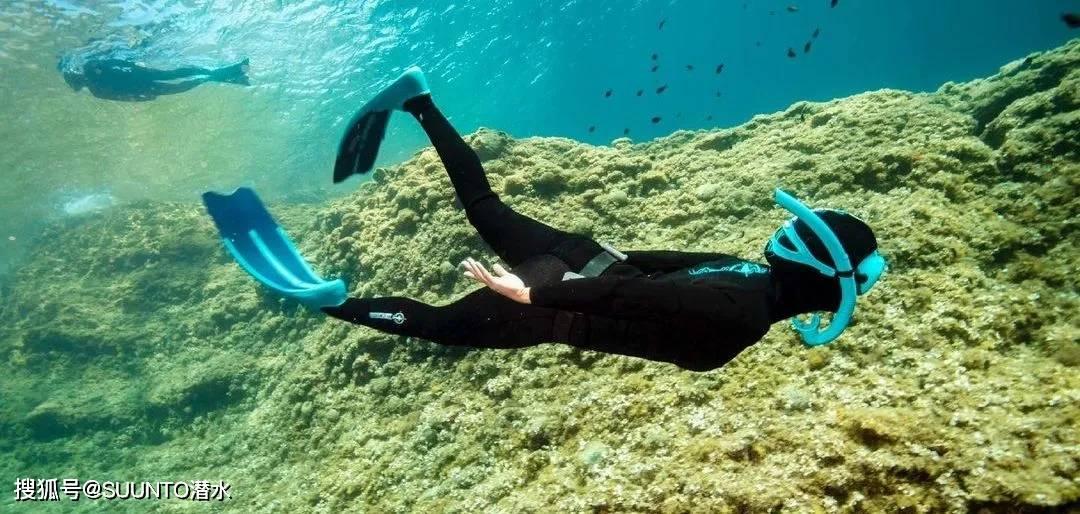 海绵宝宝寻珍宝